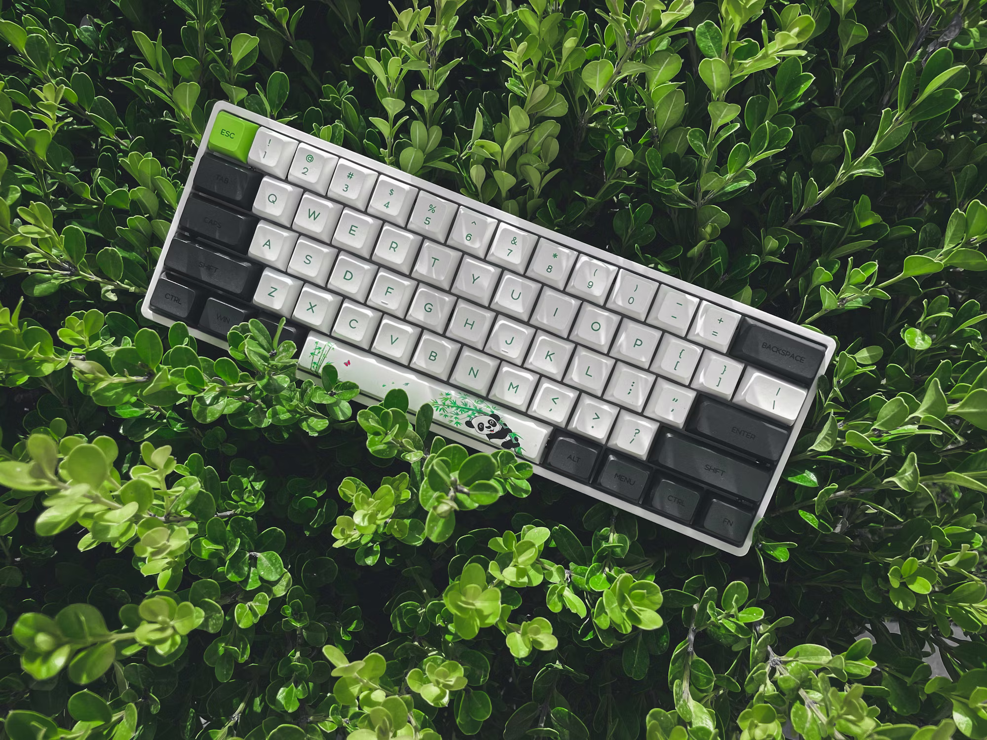 Exploring the Evolution of Gaming Narratives: From Pixels to Profound Stories